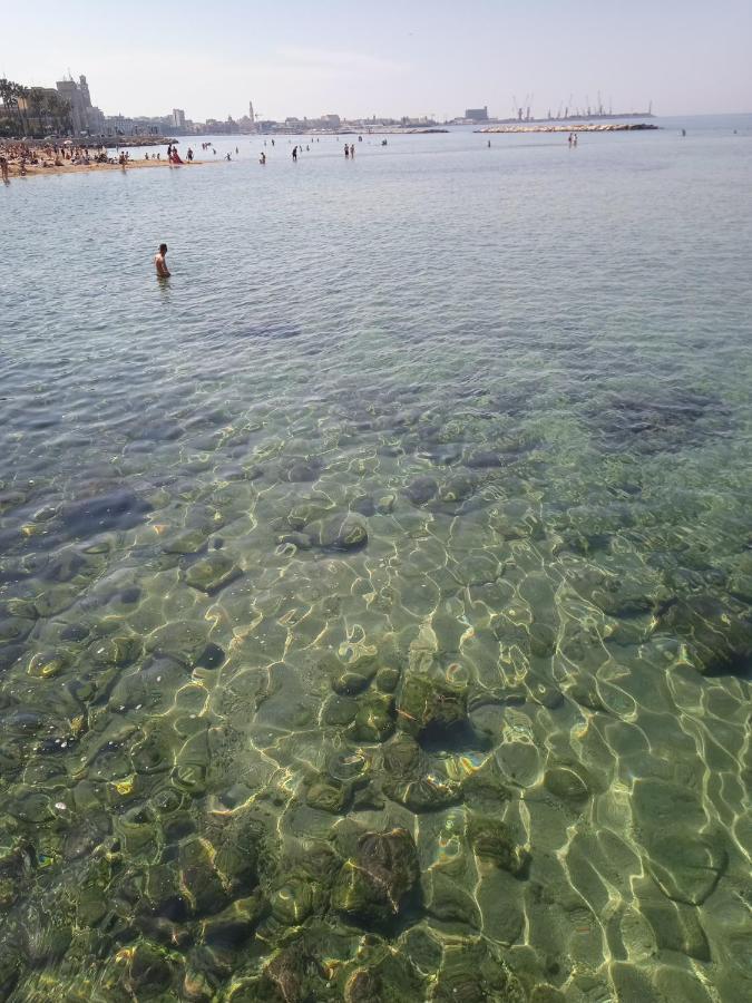 Afrodite Bari
